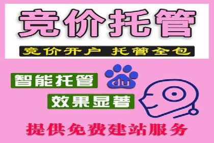 搜索引擎营销（SEM）的五大成功案例剖析